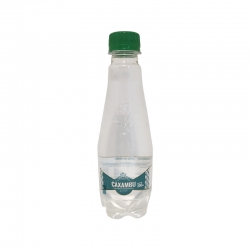 ÁGUA MINERAL CAXAMBU COM GÁS 300ML