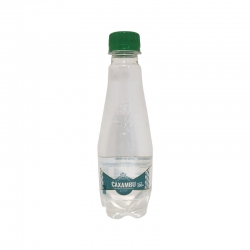 ÁGUA MINERAL CAXAMBU COM GÁS 300ML