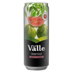 [43919] SUCO DE GOIABA DEL VALLE 290ML